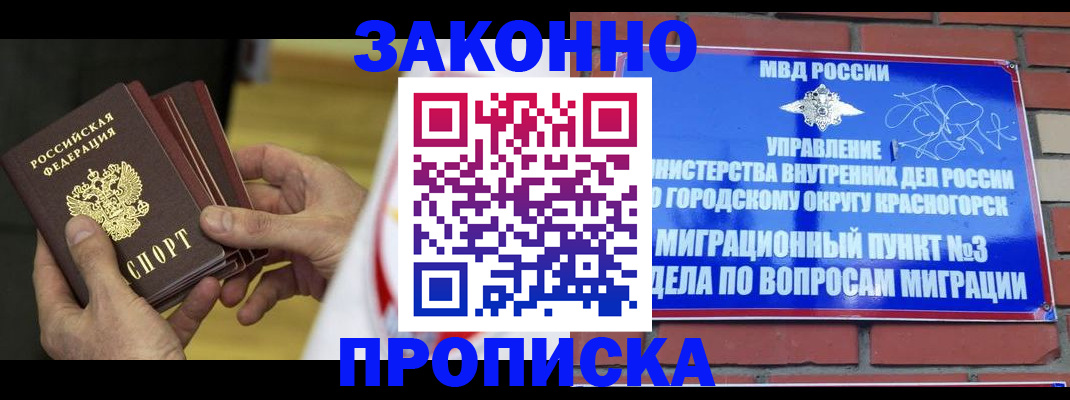 прописка для школы в Оленегорске